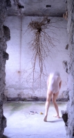 109_elisa4.jpg