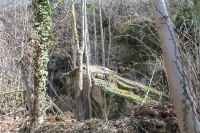 215_la-natura-ci-osserva-annalisa-rampone1000.jpg