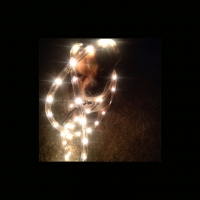 225_circa-luce.jpg