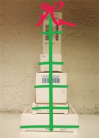 225_dopo-natale.jpg