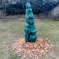 225_pino.jpg