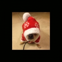 225_xmas-circa.jpg