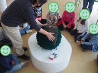 257_p1013808.jpg